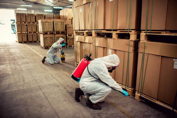 Best Bed Bug Extermination  in Midway, KY
