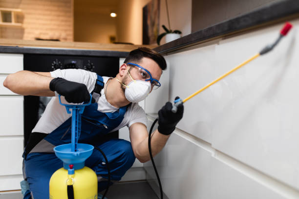 Best Local Pest Control Services  in Midway, KY
